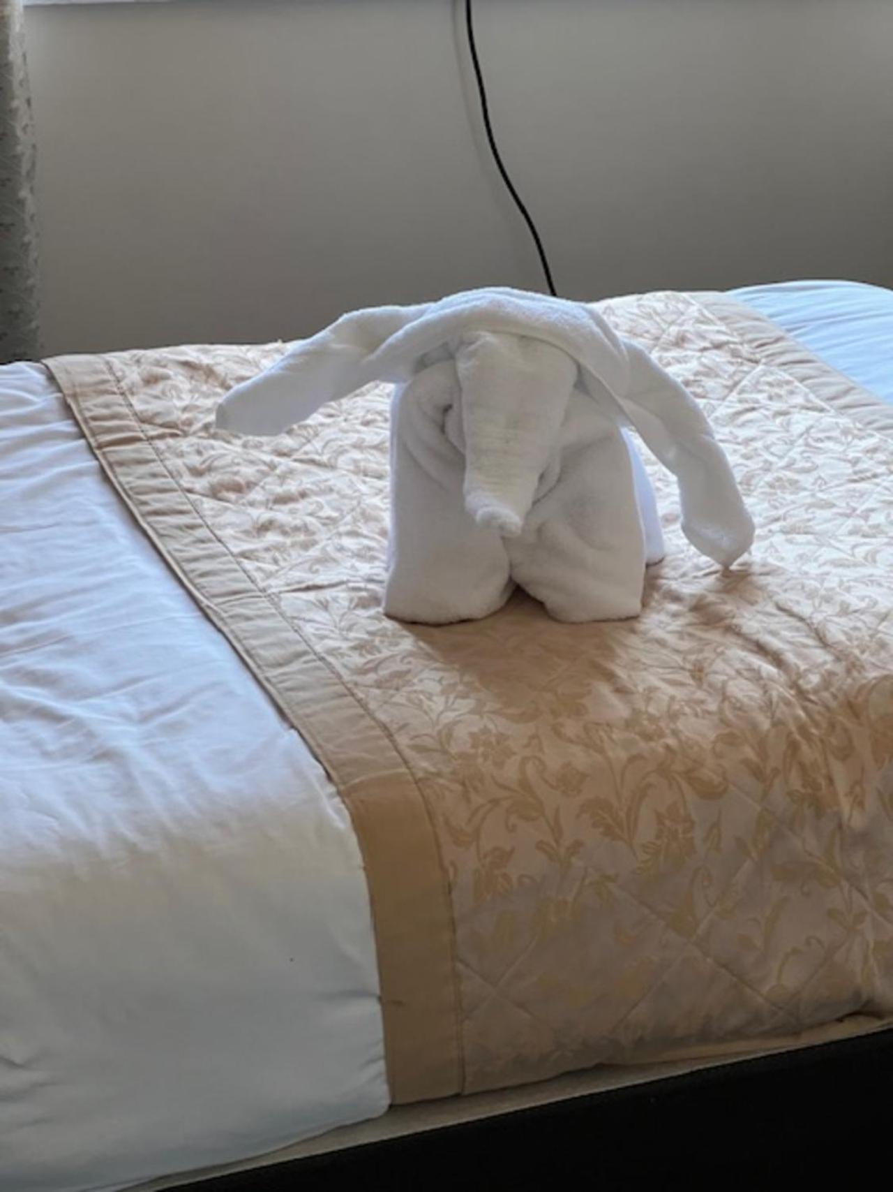 The Waverley Guest House Ίνβερνες Εξωτερικό φωτογραφία